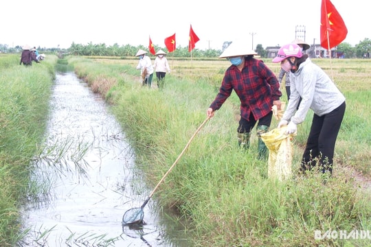 Xuất bản đặc san chào mừng Đại hội đại biểu MTTQ tỉnh Hải Dương