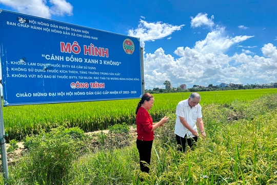 Thanh Miện xây dựng 6 mô hình cánh đồng không rác thải