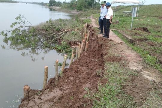 Tứ Kỳ còn 6 điểm xung yếu, dễ sạt lở bờ kênh Bắc Hưng Hải