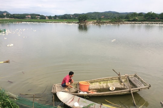 TP Chí Linh dành gần 30 tỷ đồng xây dựng hạ tầng kỹ thuật khu nuôi thủy sản xã Hưng Đạo