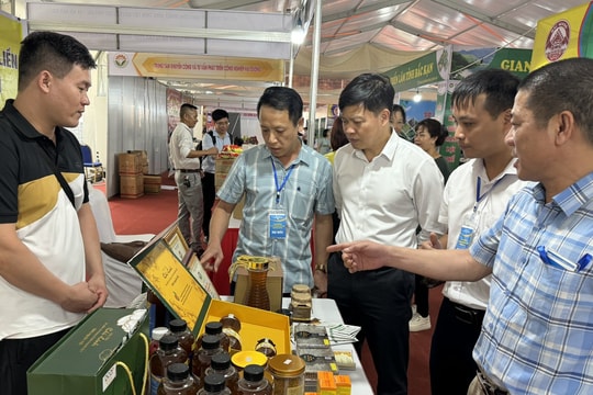Hải Dương có 7 sản phẩm công nghiệp nông thôn tiêu biểu cấp khu vực năm 2024