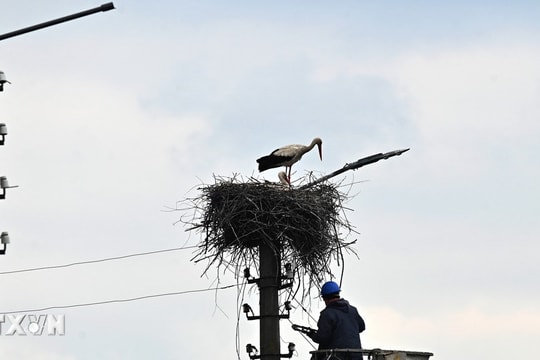 Ukraine phân bổ hơn 38 triệu USD để giải quyết tình trạng thiếu điện