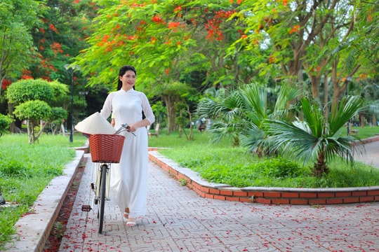 Xao xuyến mùa hoa học trò ở Hải Dương