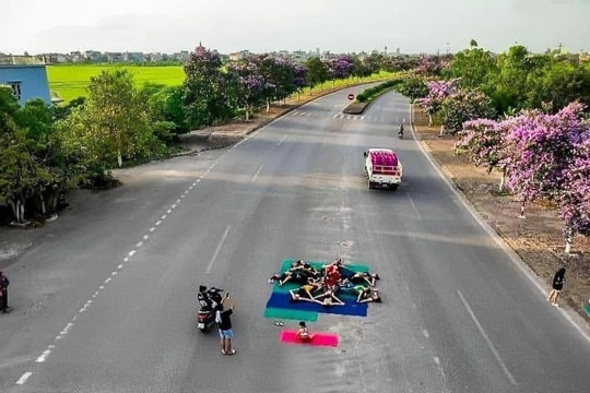 14 phụ nữ ở Thái Bình tập yoga giữa đường để chụp ảnh với hoa bằng lăng bị phạt