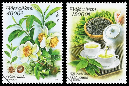 Giới thiệu bộ tem "Cây chè" - quảng bá cây công nghiệp Việt Nam