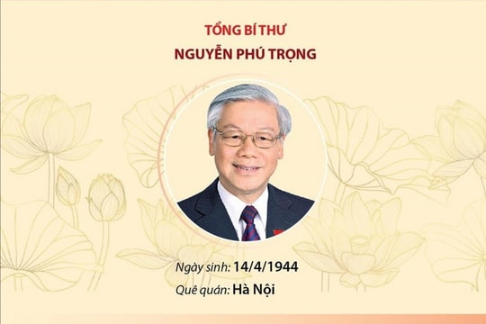 Danh sách 16 Ủy viên Bộ Chính trị khóa XIII