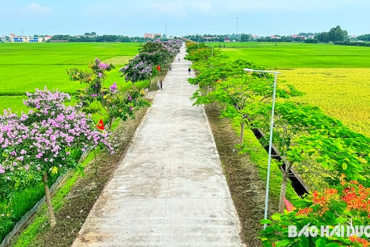 Đẹp nao lòng đường hoa ở xã Ngũ Hùng (Thanh Miện)