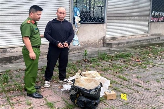 Khởi tố đối tượng mua bán động vật hoang dã quý hiếm ở Quảng Ninh