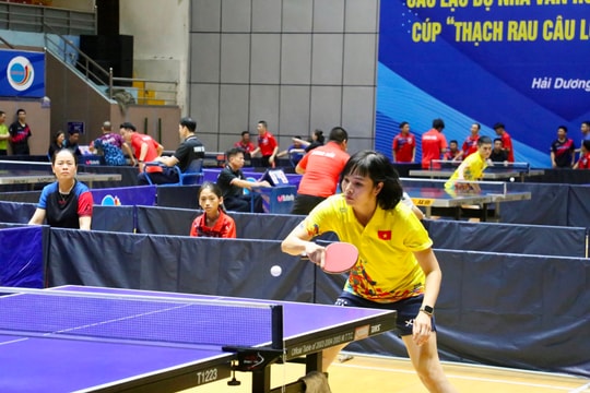 Hơn 200 tay vợt tranh tài Giải bóng bàn các câu lạc bộ nhà văn hóa thôn, khu dân cư ở Hải Dương