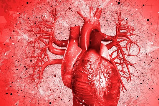 Giải quyết ô nhiễm không khí giúp châu Âu giảm tử vong do bệnh tim