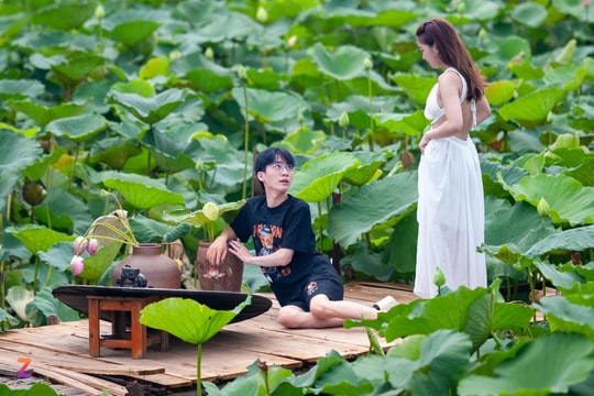 Đầm sen Hà Nội bắt đầu kín "nàng thơ"