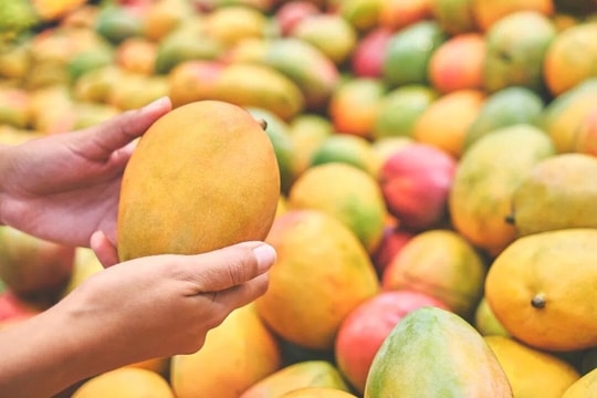 Mẹo nhận biết xoài chín bằng hóa chất hay chín tự nhiên
