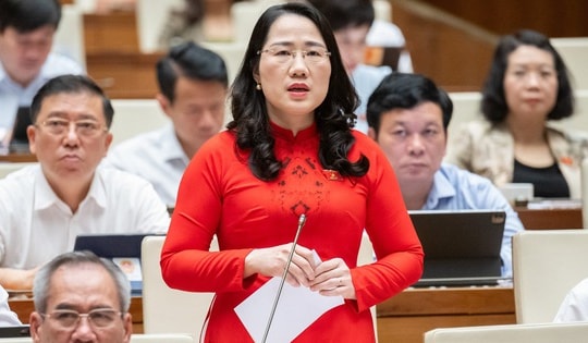 Đại biểu Quốc hội: Người dân phải thắt lưng buộc bụng nộp thuế thu nhập cá nhân