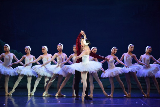 Vở ballet kinh điển "Hồ Thiên Nga" sắp trở lại Nhà hát Lớn Hà Nội