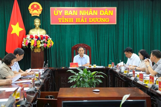 Hải Dương có 268 trường hợp vi phạm trên đất lâm nghiệp