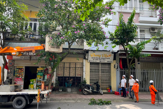 Điện lực Hải Dương phối hợp phát quang hành lang trên 86 km đường dây trung thế