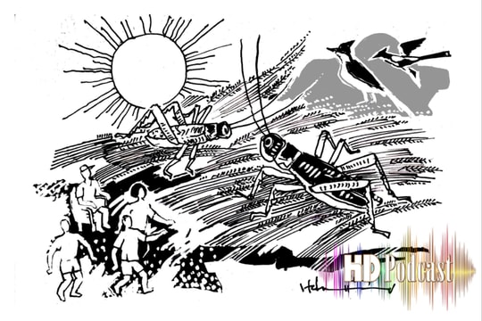 Ngôi nhà của dế mèn