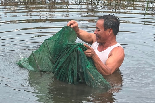 Triển vọng nuôi cà ra trong ao ở Tứ Kỳ