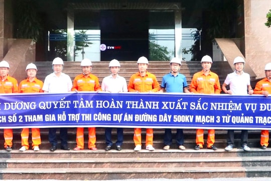 Điện lực Hải Dương thành lập thêm đội xung kích hỗ trợ thi công đường dây 500kV tại Ninh Giang