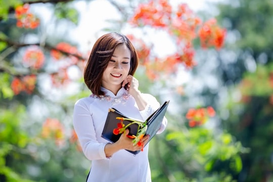 Trước hạ