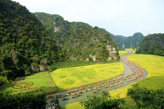Vạn người tới Ninh Bình ngắm bức tranh "mục đồng thổi sáo" khổng lồ