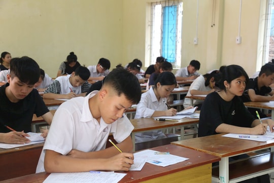 Các mã đề và gợi ý giải đề thi môn tiếng Anh vào lớp 10 THPT công lập năm học 2024-2025 của Hải Dương