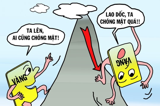 Giá vàng lên, xuống chóng mặt