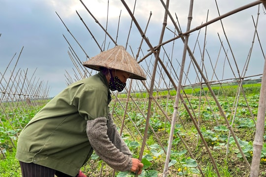 Hải Dương sẽ có mưa vừa, mưa to và dông