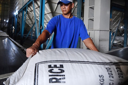 Doanh nghiệp bán "đại hạ giá", gạo Việt lao dốc về mức thấp nhất thế giới