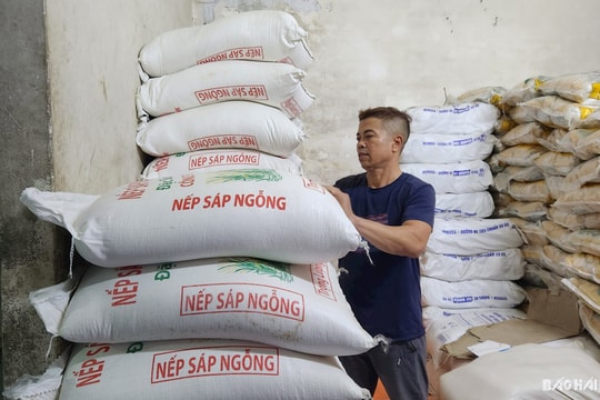 Hải Dương giữ ổn định đất trồng lúa để bảo đảm an ninh lương thực
