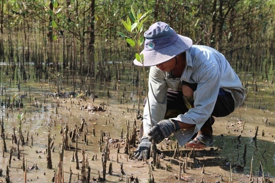 Environmental protection for sustainable development