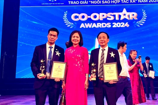 Mai Hồng (Kim Thành) - ngôi sao hợp tác xã