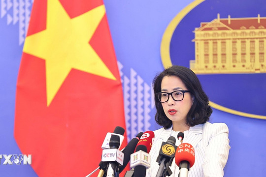Yêu cầu Trung Quốc chấm dứt khảo sát trái phép trong vùng biển của Việt Nam