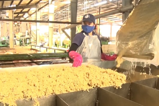 Ample room remains for Vietnamese rubber exports to US