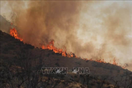 Trên 52.000 người tử vong trong thập kỷ qua do ô nhiễm từ cháy rừng ở California (Mỹ)