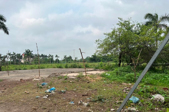 Lần theo dự án bỏ hoang