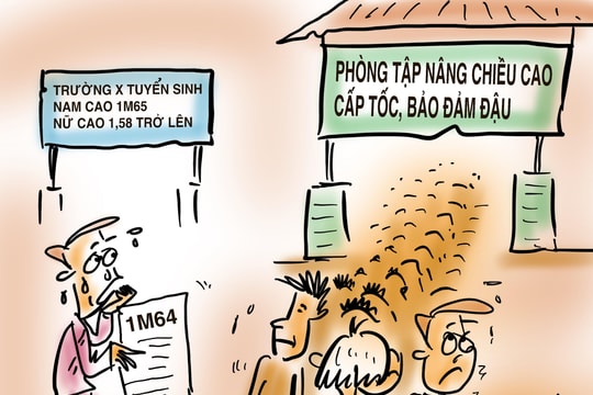 Nâng chiều cao cấp tốc