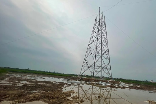 2 hộ có đất nằm trong dự án đường dây 500kV tại Ninh Giang đề nghị được bồi thường bằng đất ở