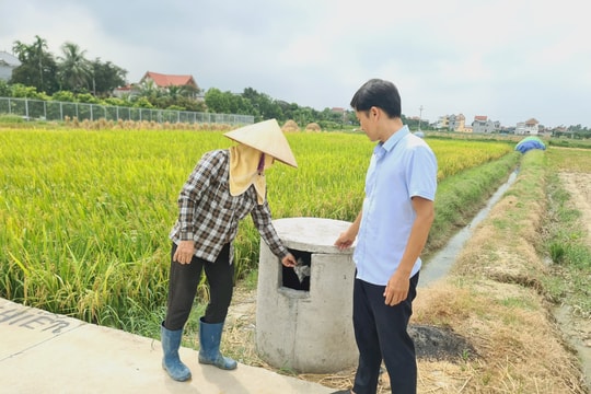 Những "Cánh đồng không rác thải" ở Kim Thành