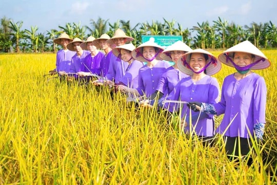 Làng mình cũng làm du lịch