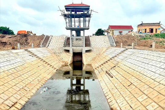 Khẩn trương hoàn thành Dự án xử lý cấp bách các công trình đê điều tỉnh Hải Dương