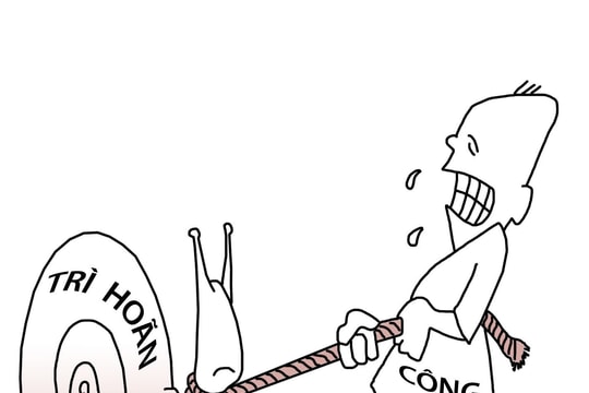 Xử lý công việc như... sên