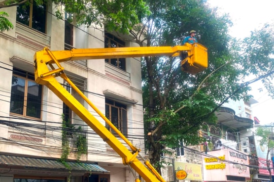 Công ty CP Quản lý công trình đô thị Hải Dương cắt tỉa 1.114 cây xanh đô thị trước mùa mưa bão