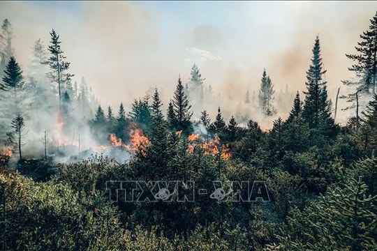Canada đối mặt với mùa hè nóng hơn bình thường