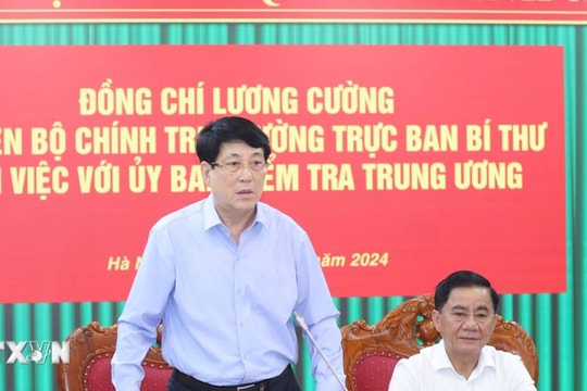 Xử lý dứt điểm các vụ việc liên quan đến Vạn Thịnh Phát, Phúc Sơn và Thuận An