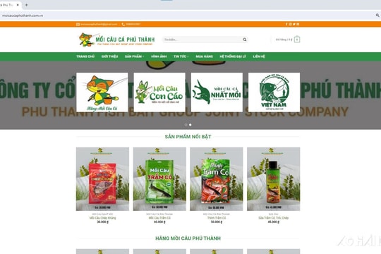 Hải Dương phạt 2 doanh nghiệp bán hàng trên website thương mại điện tử nhưng không thông báo