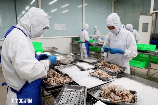 Early US recognition of market economy to increase opportunities for Vietnamese exports