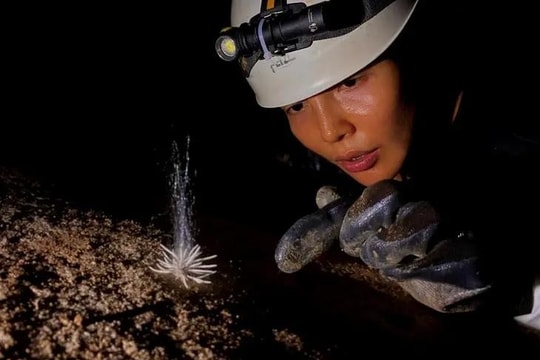 Unseen species found in Phong Nha - Ke Bang National Park