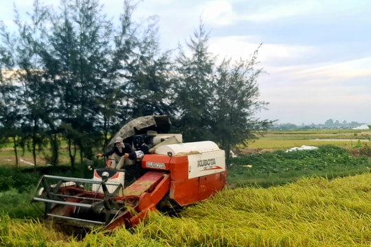 Nông dân Hải Dương thu hoạch xong lúa đông xuân trước ngày 20/6