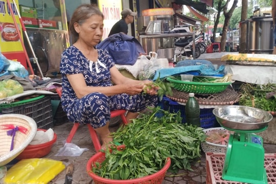 Bươn chải tuổi già vì không có "của để dành"